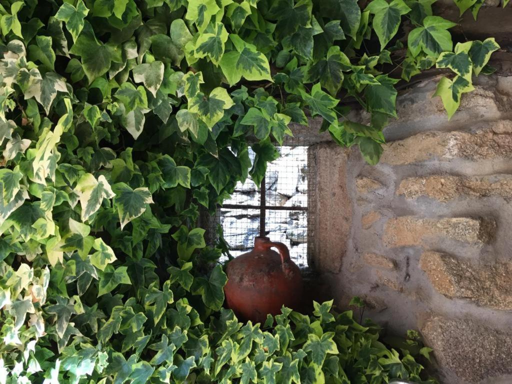 Neila de San Miguel El Capricho De Anaヴィラ エクステリア 写真